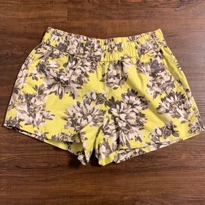 JCrew Boardwalk Shorts